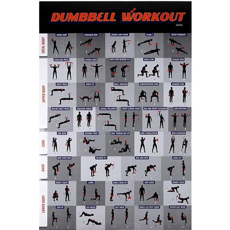 Buy Workout Dumbbell Exercise Laminated Free Weight Strength