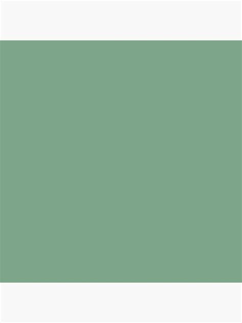 Solid Sage Green Color Sticker By Podartist Redbubble