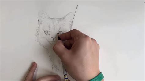 Pencil Drawing Techniques 7 Tips To Improve Your Skills