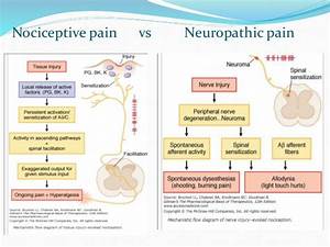 Evaluation Of Analgesic Agents