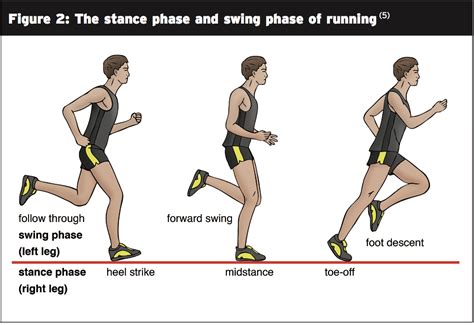 Running And Hip Injuries The Science
