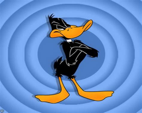 Daffy Duck Wallpaper Wallpapers Hd Wallpapers 7876