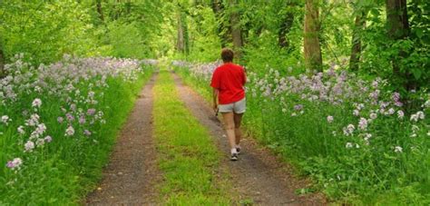 This Easy Wildflower Hike In Maryland Will Transport You Into A Sea Of