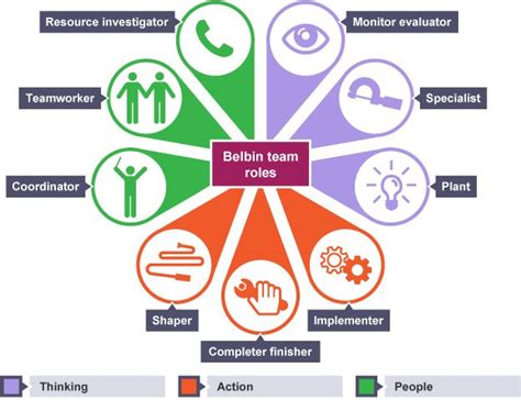 Learn Belbin Team Roles Through Reflection Teams Leadership