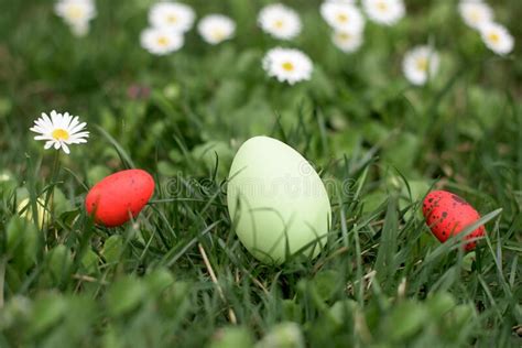 Green Easter Hen Egg In A Green Grass Easter Hunt Stock Image Image