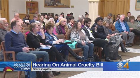 State Lawmaker Introduces Animal Cruelty Bill Youtube