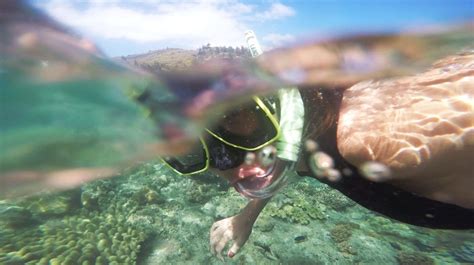 The Best Snorkel Spots On Oahu Shaka Guide