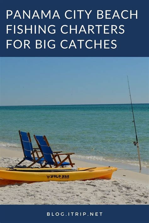 Panama City Beach Fishing Guide To Top Charters And Tips Artofit
