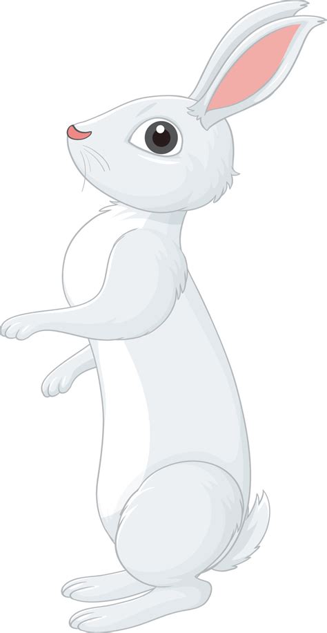 White Rabbit Cartoon Character 14291525 Vector Art At Vecteezy