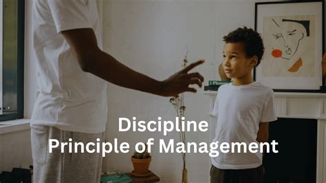 What Is Discipline Principle Of Management Mbanote