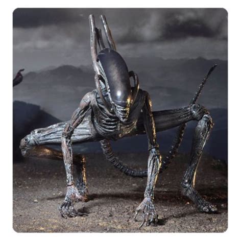 It features an extendable inner mouth and has over 30 points of articulation and a bendable tail. Alien Covenant Xenomorph 7-Inch Action Figure - NECA ...
