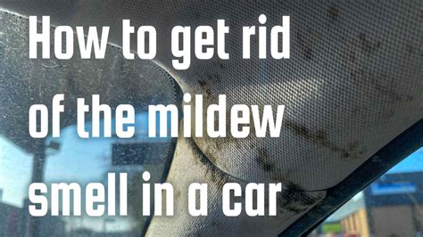 How To Get Rid Of Mildew Smell In Car New Again