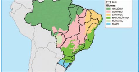 Mapa Dos Biomas Brasileiros Klima Naturali
