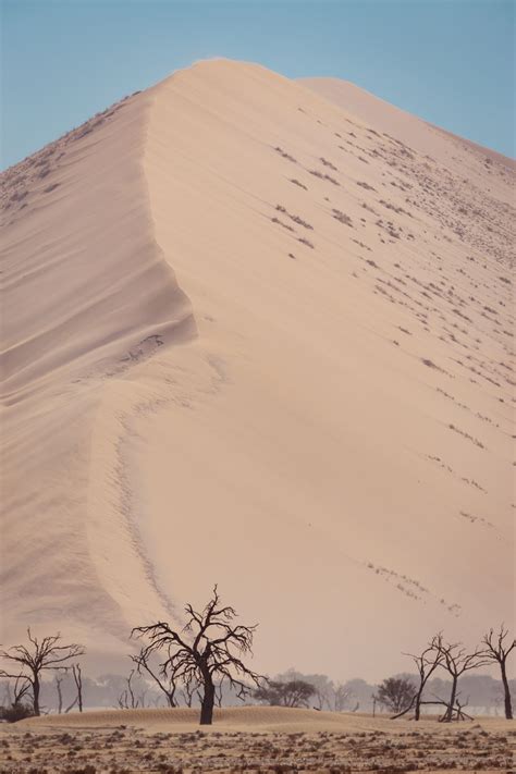 The Namib Desert Smithsonian Photo Contest Smithsonian Magazine