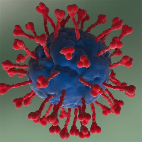 Animated Coronavirus Model 2019 Ncov Cgtrader