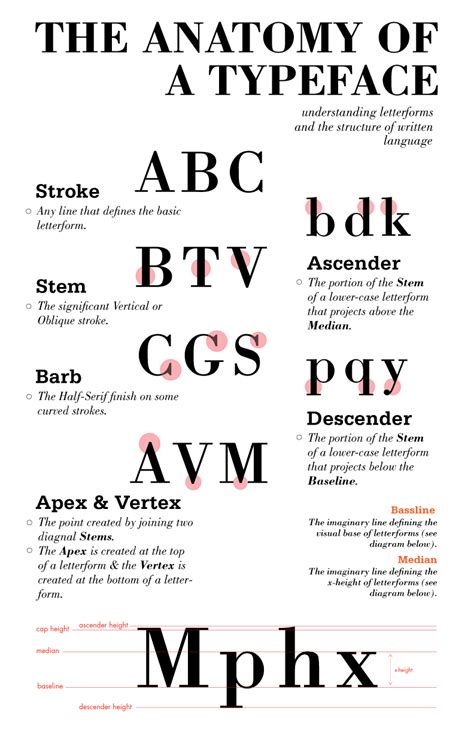 Anatomy Of A Typeface Anatomy Of Typography Anatomy Typeface