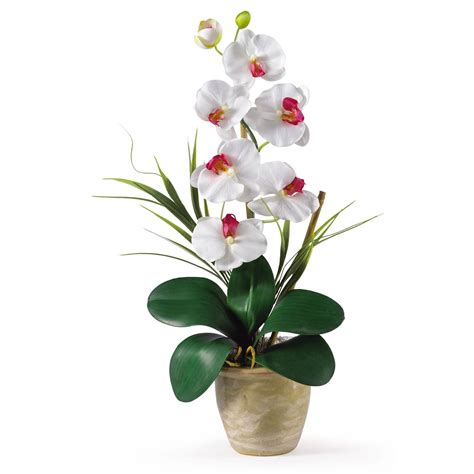 Single Stem Phalaenopsis Silk Orchid Arrangement 1016 Nearly Natural