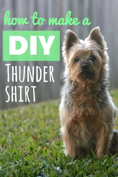 Best diy thundershirt for dogs from summer thunderstorms fireworks and the diy thunder shirt. Pin on doggie treats