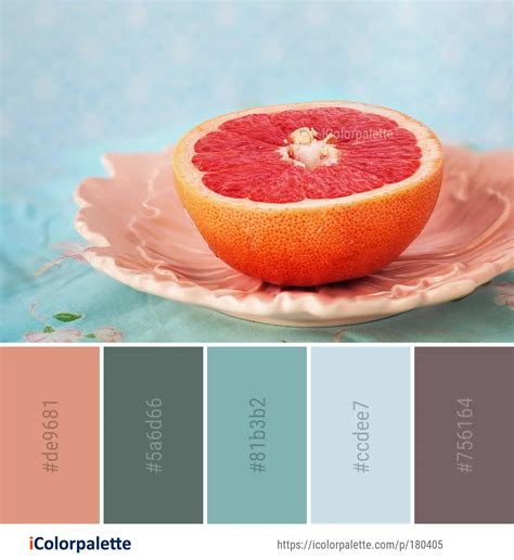 11 Grapefruit Color Palette Ideas In 2024 Icolorpalette