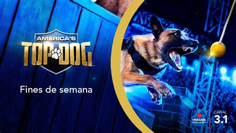Americas Top Dog Imagen Televisión