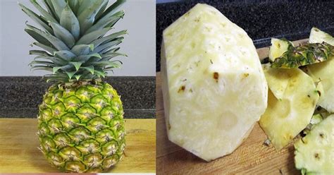 Pineapple Diy Grow At Home Life Hack