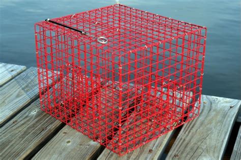 Inshore Pinfish Trap Pinfish Traps Live Bait Pens Crab Traps