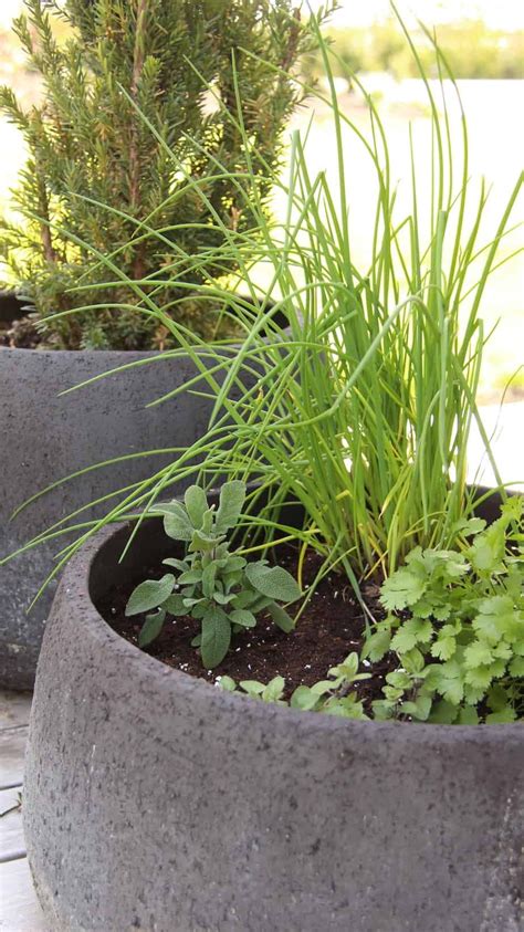 Herb Garden Boxes, Large Outdoor Planters, Big Planters, Raised Garden