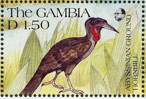 Abyssinian Ground Hornbill Stamps Mainly Images Gallery Format Bee