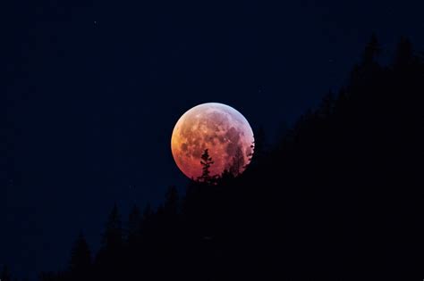 Lunar Eclipse Super Moon Blood Free Photo On Pixabay Pixabay