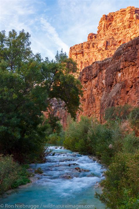 Havasu Falls Creek Havasupai Indian Reservation Grand Canyon