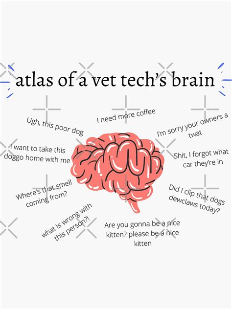 Atlas Of A Vet Techs Brain Sticker For Sale By Aryan10 Redbubble