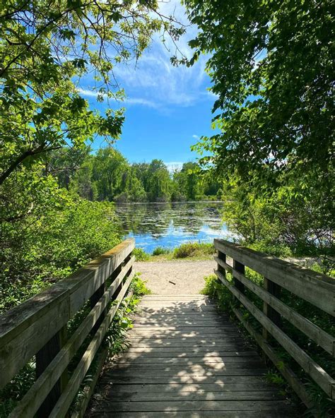 The Best Hiking Trails In The Great Lakes Bay Michigan Area