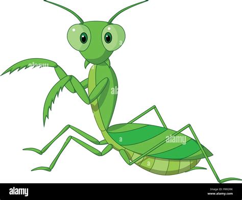 Praying Mantis Grasshopper Cartoon Stock Vector Image And Art Alamy