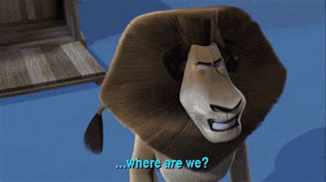 Madagascar Alex The Lion  Madagascar Alex The Lion Where Are We