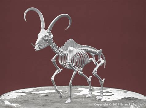 29 Best Mythical Creature Skeletons Images On Pinterest Mythical