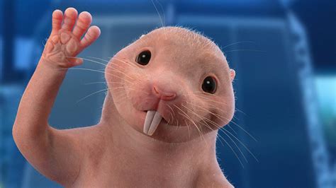 Disney S Kim Possible Movie Get To Know Rufus The Naked Mole Rat My