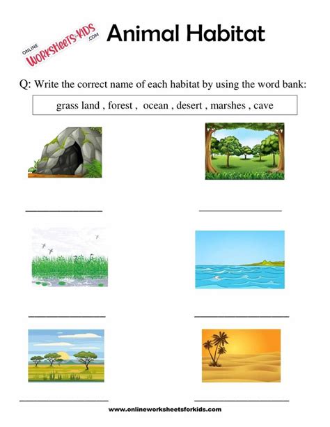 Animal Habitats Worksheets For Grade 1 2