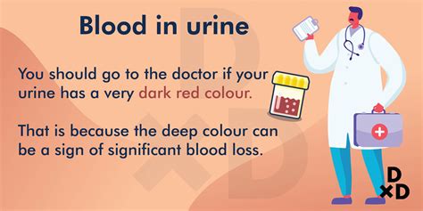 Blood In Urine A Complete Guide To The Causes In Males Females