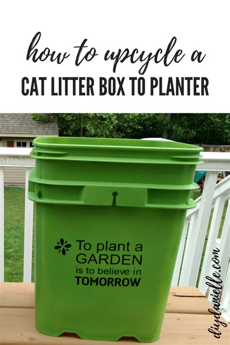 How To Turn Cat Litter Buckets Into Beautiful Planters Cat Litter