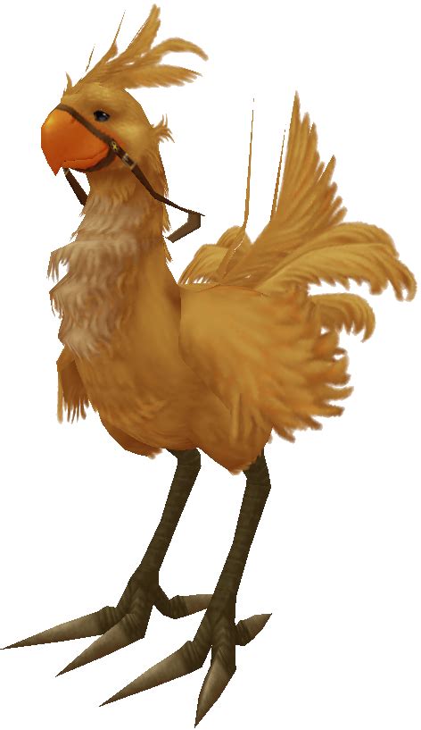 Image Chocobo Render Ffxpng Final Fantasy Wiki Fandom Powered By
