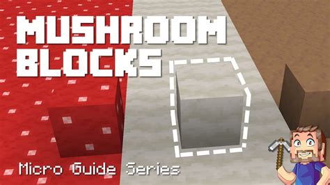 Mushroom Blocks Minecraft Micro Guide Youtube