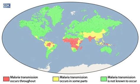 Global Impact Of Malaria Shown By Different Levels Of Transmission Per