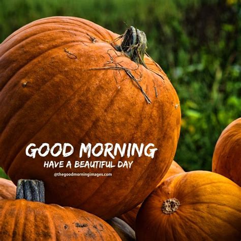 Beautiful Good Morning Fall Images Pictures And Photos 2021