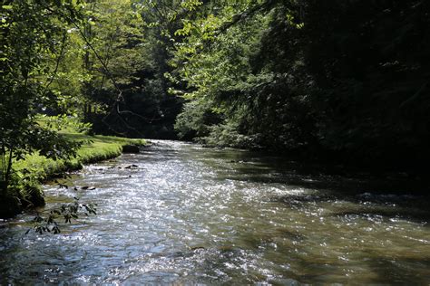 Possibly The Most Epic Trout Ever Landed In Pennsylvania The