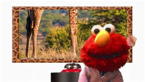 Sesame Street Elmo World Animals Dvd Trailer 2020 Video Dailymotion
