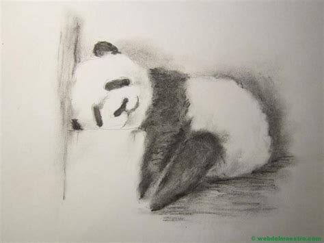 Campo Borroso Preferible Pandas Para Dibujar A Lapiz Miel El Centro