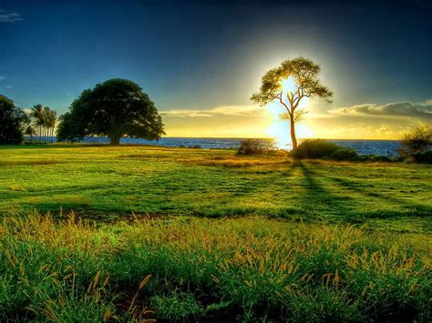 Beautiful Sunrise Green Sunrise Nature Trees Sky Field Hd