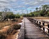 State Park Savannah Ga Pictures