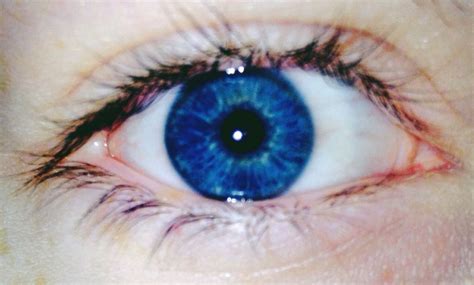 Pin By Rosebud1903 On Oc Zachriel In 2020 Blue Eye Color Beautiful