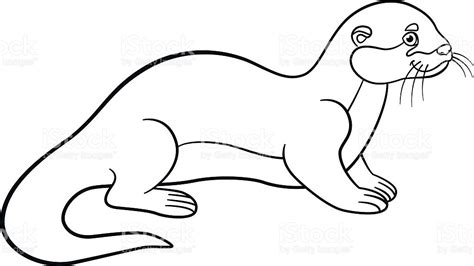 Sea Otter Drawing At Getdrawings Free Download